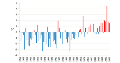 Abweichung der Höchsttemperaturen vom Normalwert (1991–2020) seit 1950: Monat Juli 2025