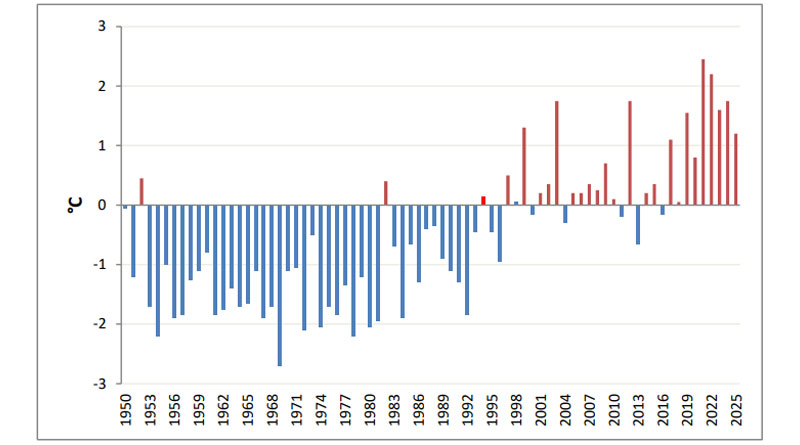 Durchschnittstemperatur im Sommer von 1950-2025