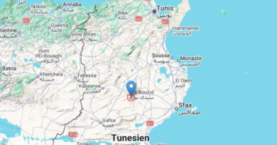30. März 2026: Leichtes Erdbeben bei Sidi Bouzid, Gouvernorat Sidi Bouzid [M3.0]