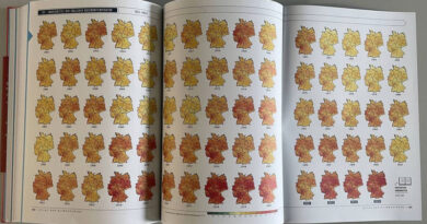 Beispiel Ausklappseite Maximumtemperaturen Deutschland - (Foto: Alfred-Wegener-Institut / REKLIM)