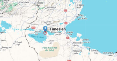 14. Mai 2026: Leichtes Erdbeben nahe Souk Lahad, Gouvernorat Kebili [M3.3]