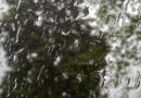 Niederschläge, Regenwetter