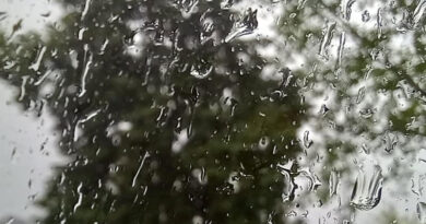 Niederschläge, Regenwetter