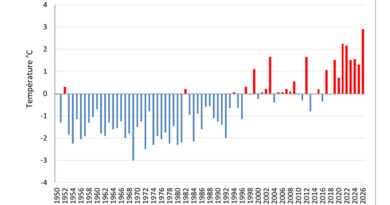 Abweichung der durchschnittlichen Sommertemperaturen seit 1950 vom Normalwert (1991–2020)